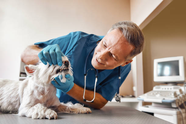 Best Weekend Emergency Dentist in Fifth Street, TX